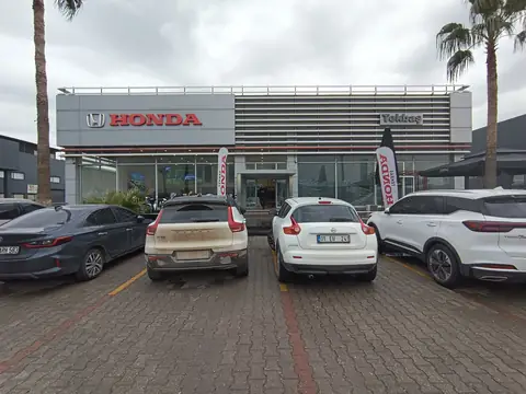 Showroom facade signage