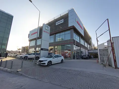 Showroom facade signage